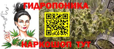 Альфа ПВП Рузаевка