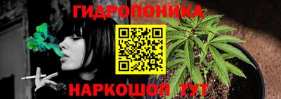 крисы Рыбинск