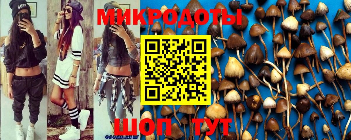 Орёл  Псилоцибиновые грибы GOLDEN TEACHER  Вход с VPN 